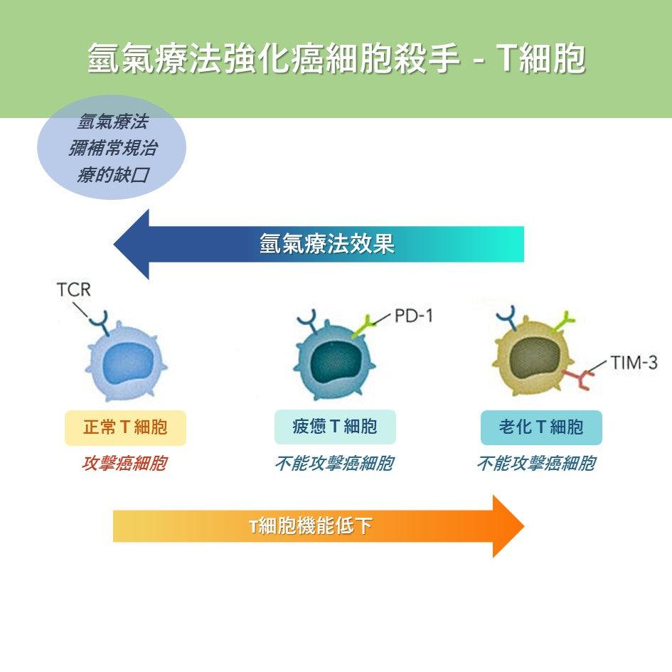 氫氣療法強化癌細胞殺手 - T細胞