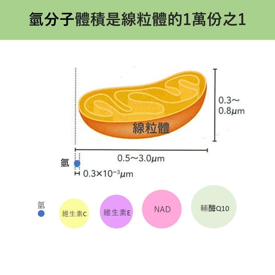 如何活化線粒體?