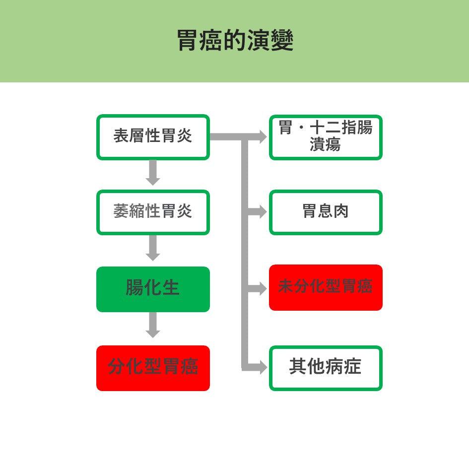 我有胃炎伴「腸化生」。氫氣有幫助嗎?