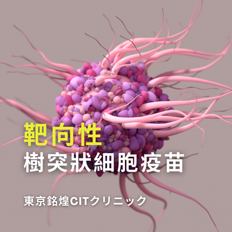 株式会社ケアリングフロムジャパン Caring from Japan